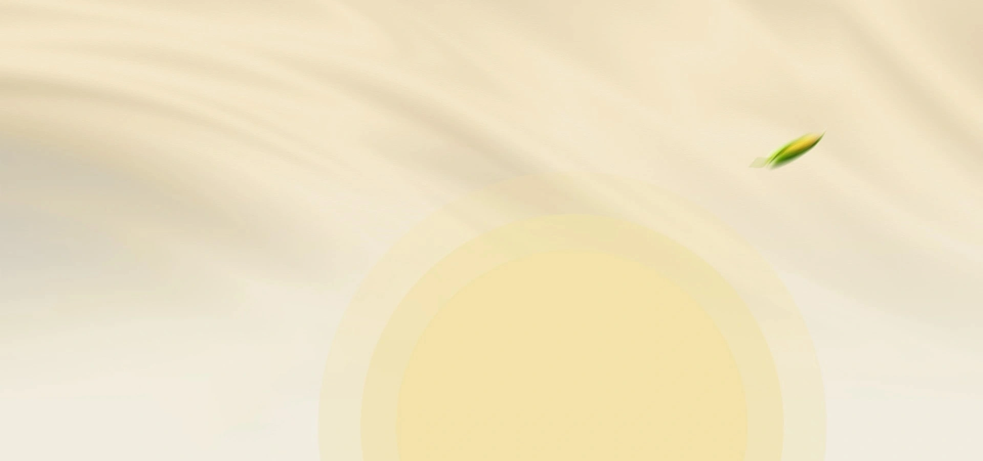 banner2